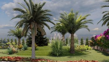 Enhance Your Outdoor Space with Expert Landscape Maintenance and Gardening Services Near Me