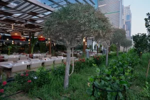 Garden Services In Abu Dhabi