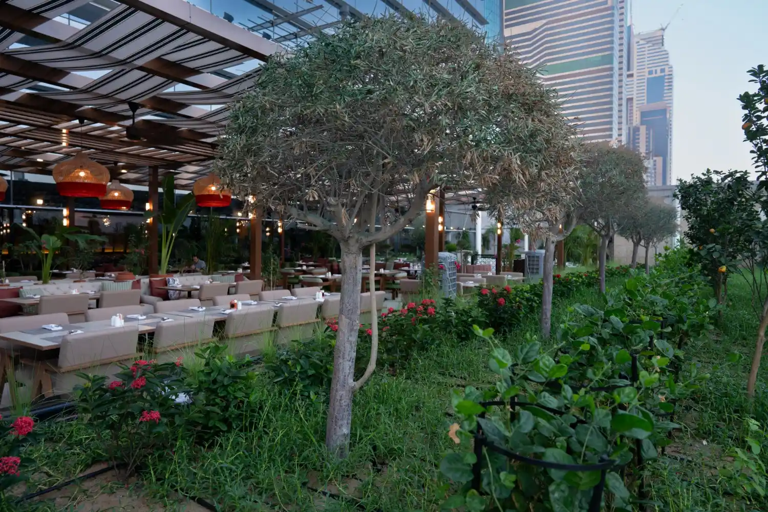 Garden Services In Abu Dhabi